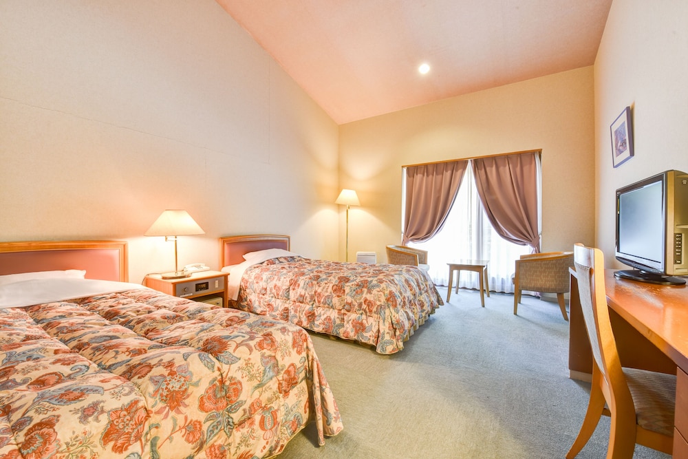 Western Style Twin Room, For 2 to 3 People photo 1