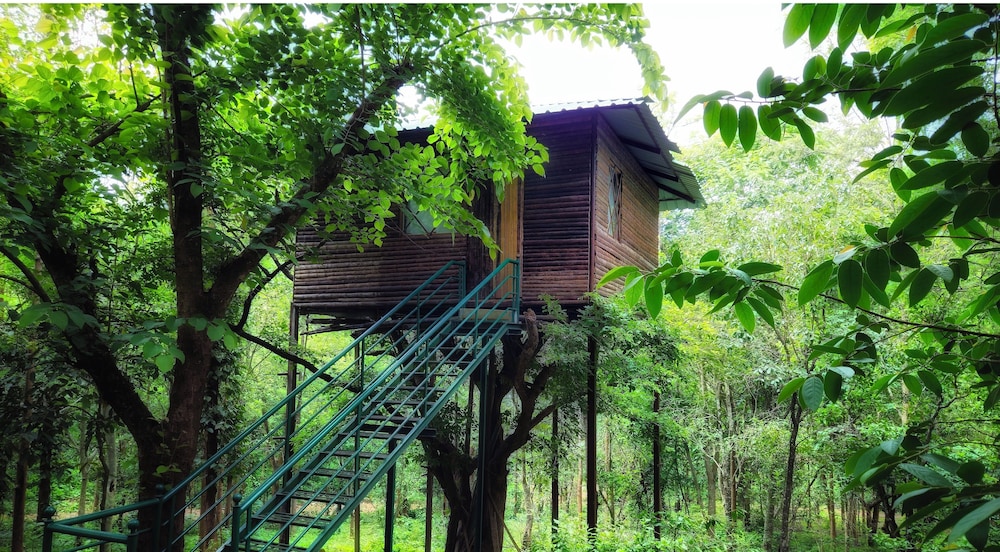 Comfort Tree House photo 2