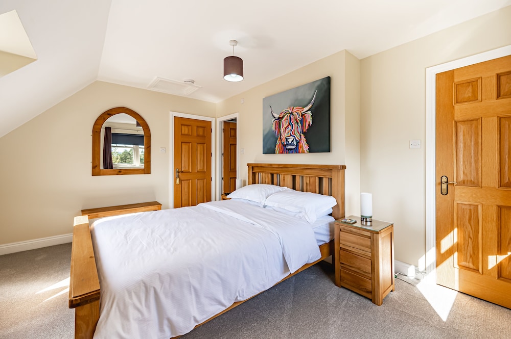Deluxe Double Room, 1 King Bed, Mountain View photo 2
