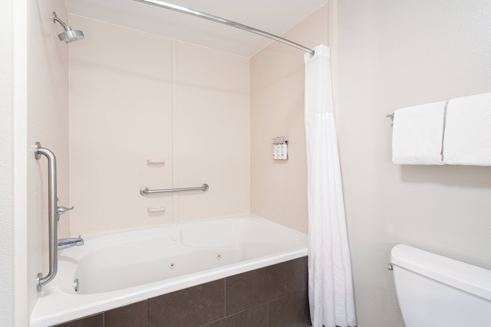 Suite, 1 Bedroom - Photo 3