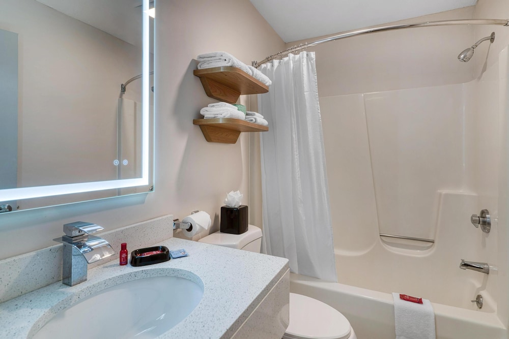 Suite, 1 King Bed, Non Smoking, Kitchen (with Sofabed, Full Kitchen) - Photo 5