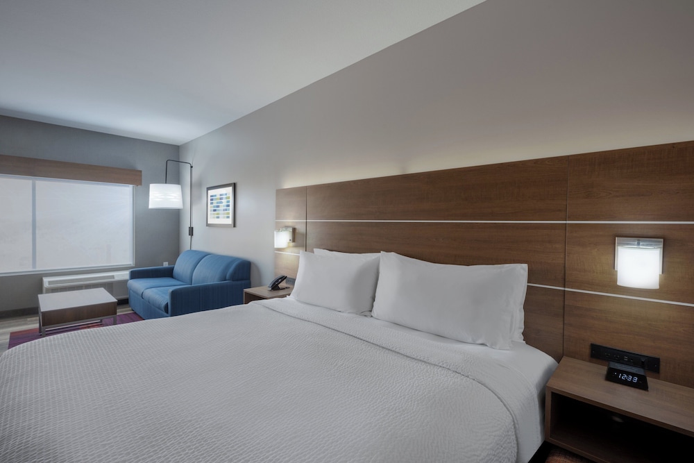 Suite, 1 King Bed, Accessible (Mobil Roll Shower) - Photo 3