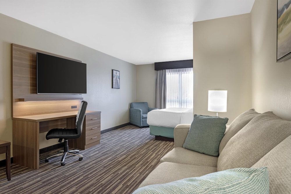Suite, 1 King Bed, Non Smoking, Refrigerator & Microwave (with Sofabed) - Photo 3