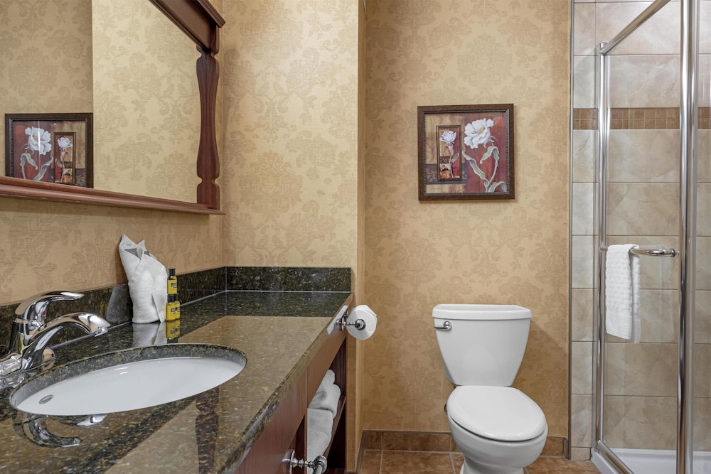 Suite, 1 King Bed, Non Smoking, Kitchenette (with Sofabed) - Photo 4