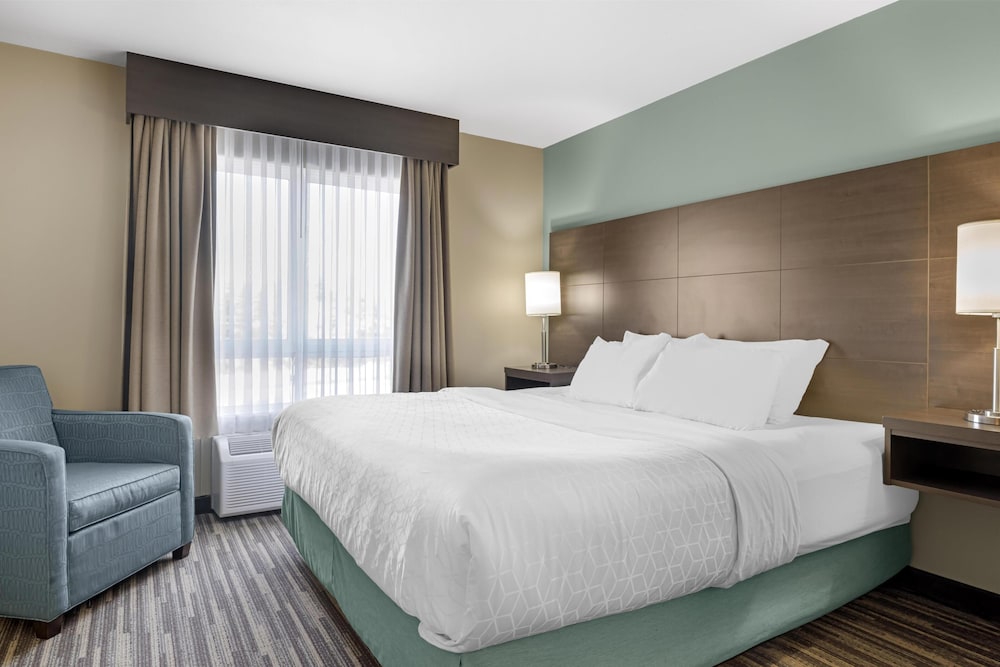 Suite, 1 King Bed, Non Smoking, Refrigerator & Microwave (with Sofabed) - Photo 1
