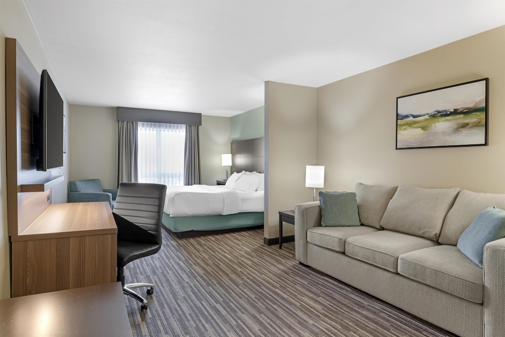 Suite, 1 King Bed, Non Smoking, Refrigerator & Microwave (with Sofabed) - Photo 2