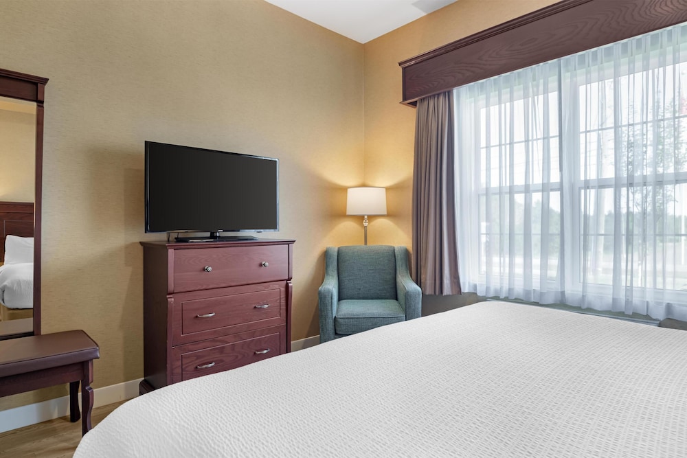 Suite, 1 King Bed, Non Smoking, Refrigerator & Microwave (with Sofabed) - Photo 1