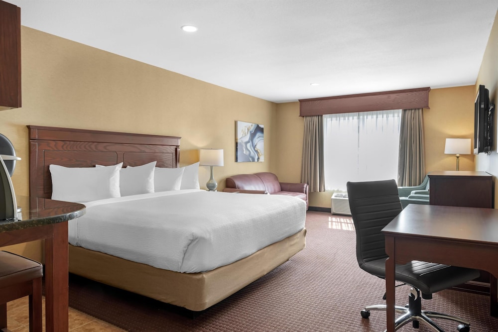 Suite, 1 King Bed, Non Smoking, Kitchenette (with Sofabed) - Photo 3