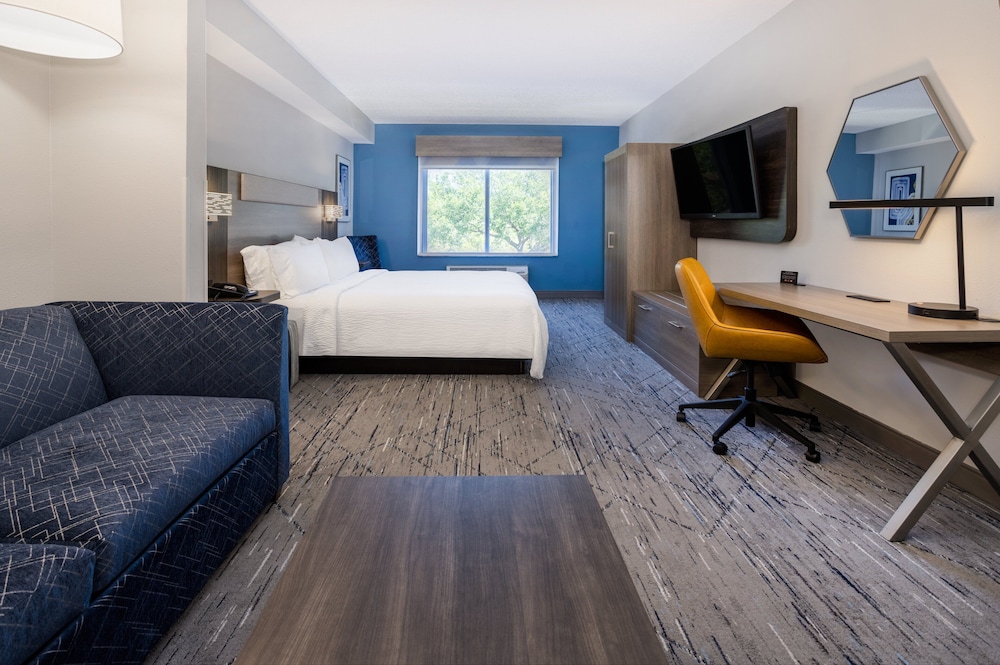 Suite, 1 King Bed - Photo 3
