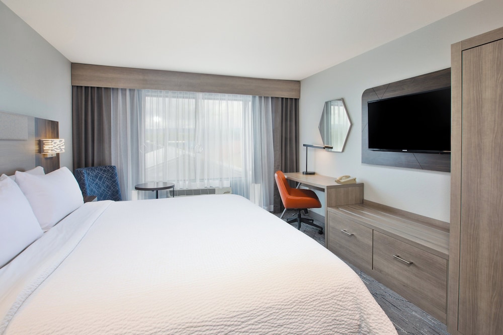 Standard Room, 1 King Bed, Accessible (Mobility, Accessible Tub) - Photo 4