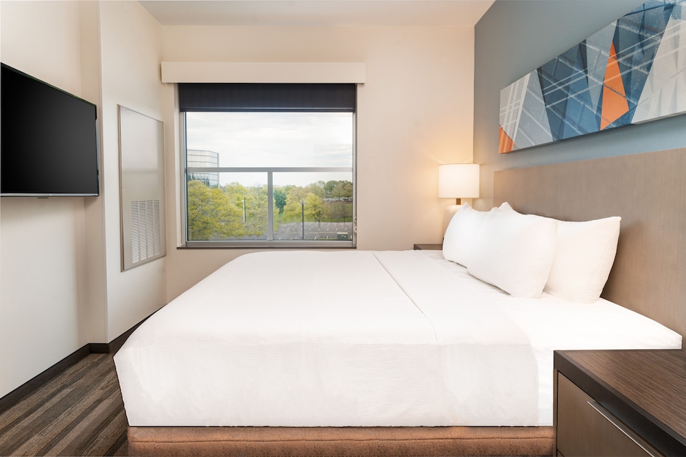 Suite, 1 Bedroom - Photo 1