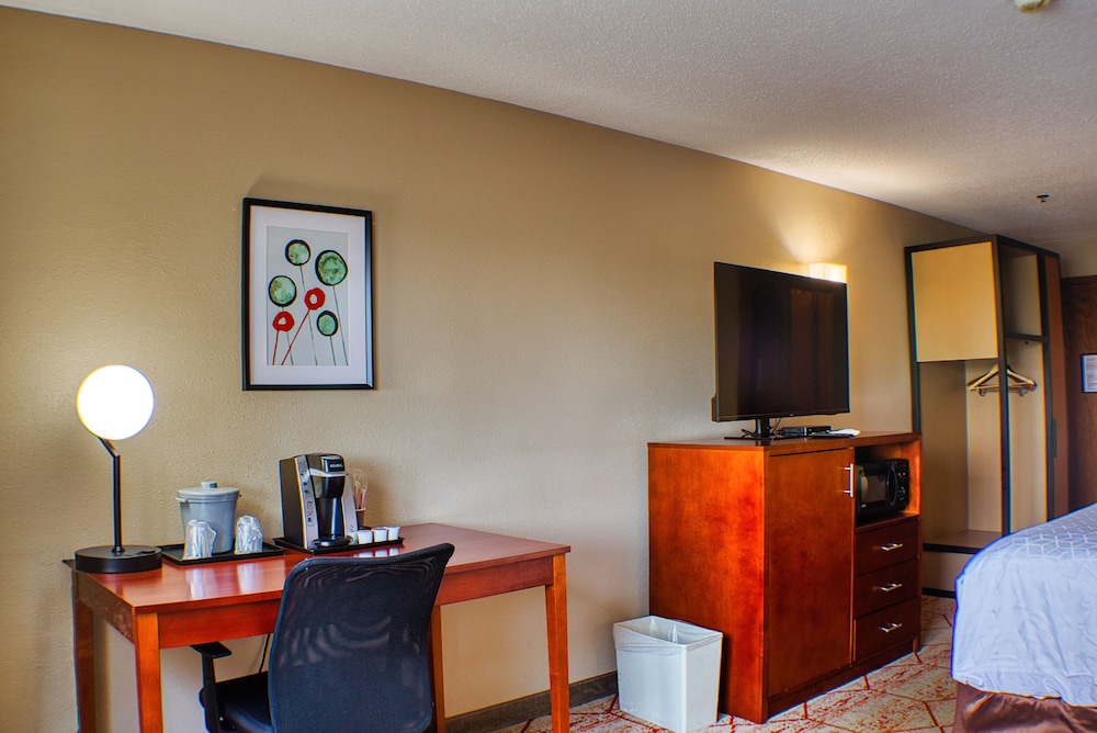 Standard Room, 1 King Bed, Non Smoking, Refrigerator & Microwave (With Sofabed) - Photo 5