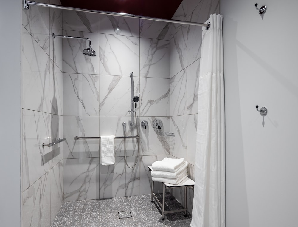 Room, 1 King Bed, Accessible (Mobility, Roll-In Shower) - Photo 4