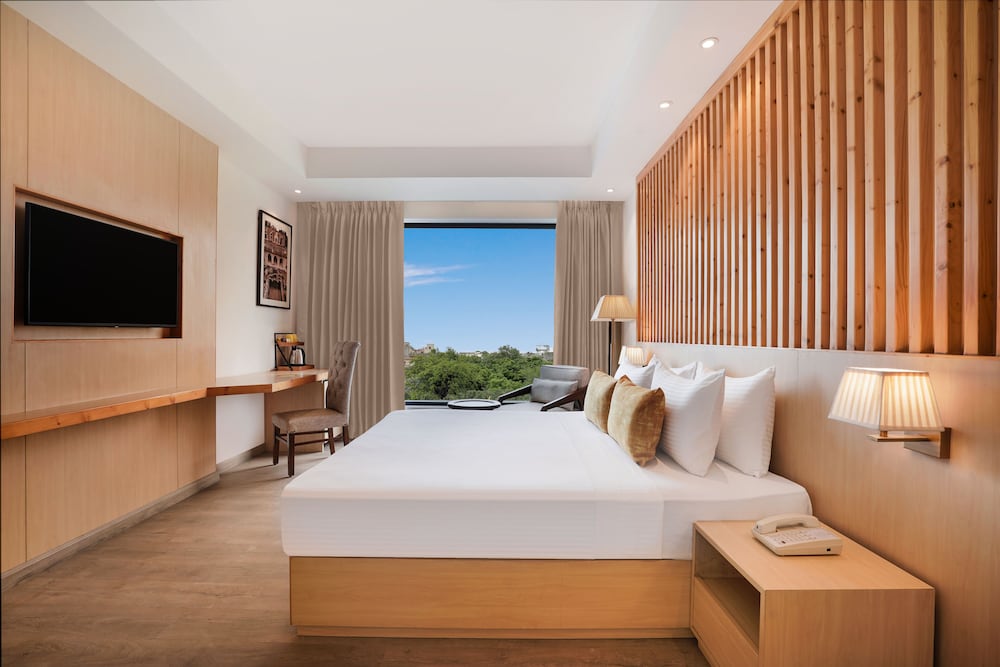Deluxe Room - Photo 4