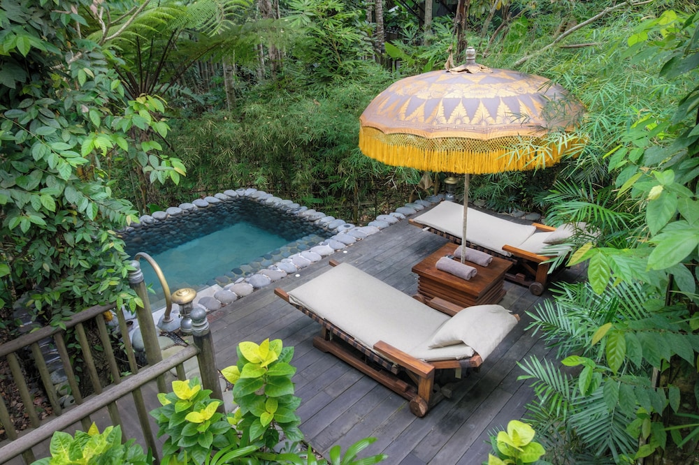Tent, Terrace photo 1