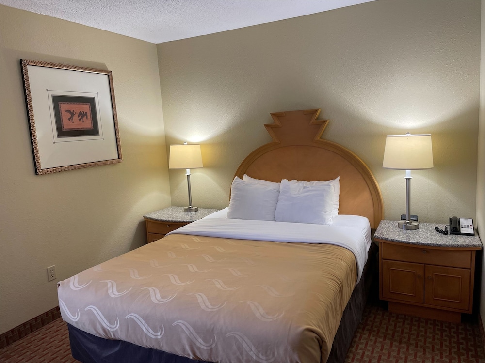 Suite, 1 Queen Bed photo 3