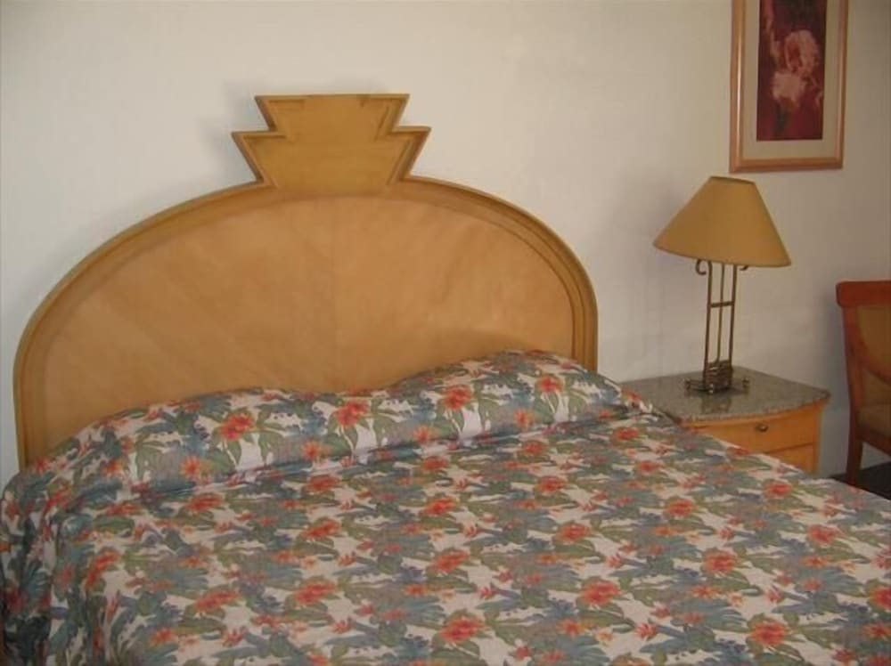 Room, 1 King Bed photo 1
