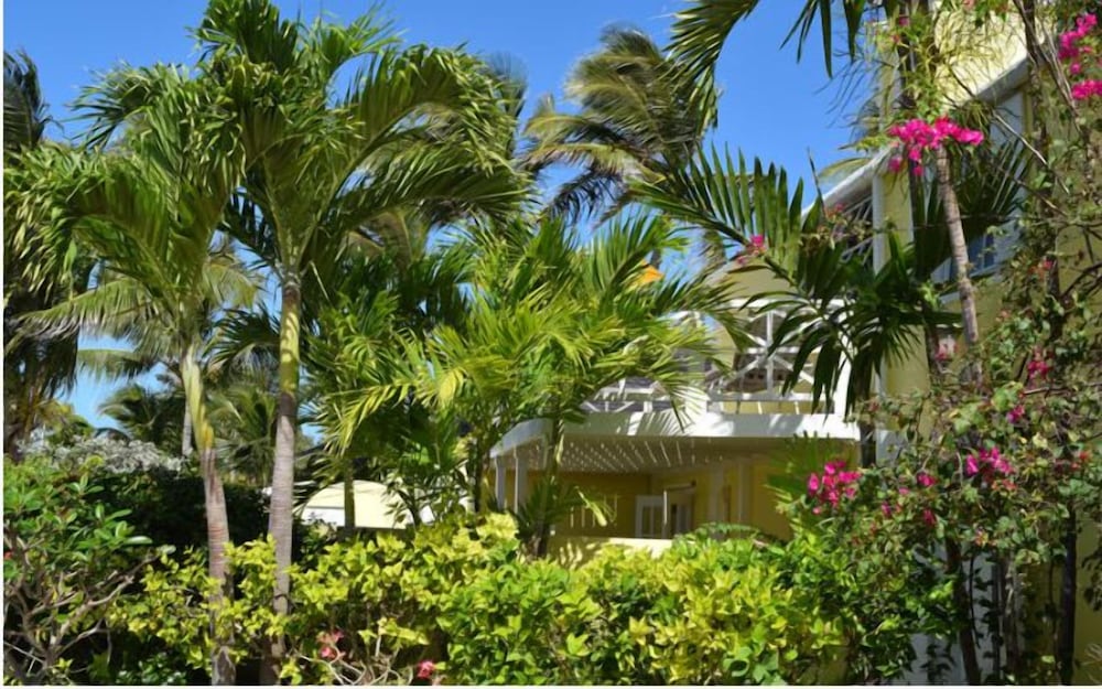 Room, 1 Queen Bed, Beach View, Oceanfront