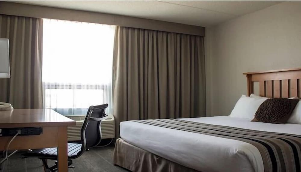 Executive Studio Suite