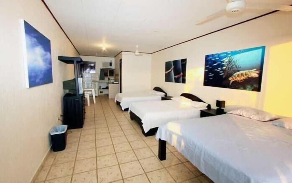 Chambre Standard, cuisine