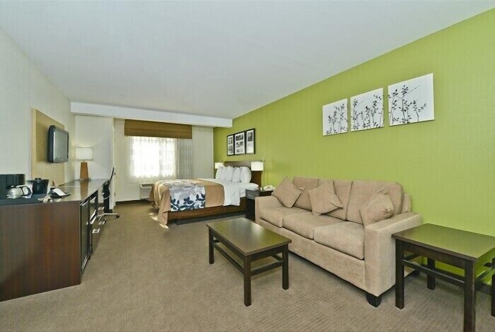 King Suite, Non Smoking - Photo 5