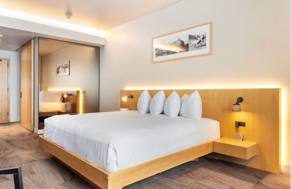 Room, 1 King Bed (Humbird)