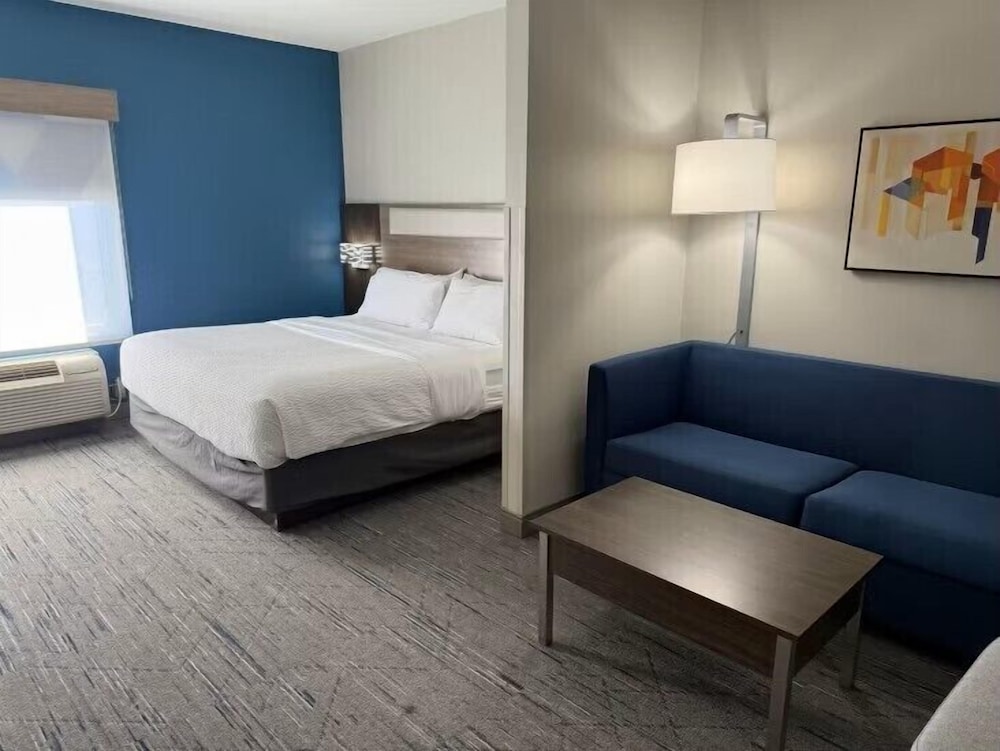 Suite, 1 King Bed, Roll-in Shower (Mobility) - Photo 1