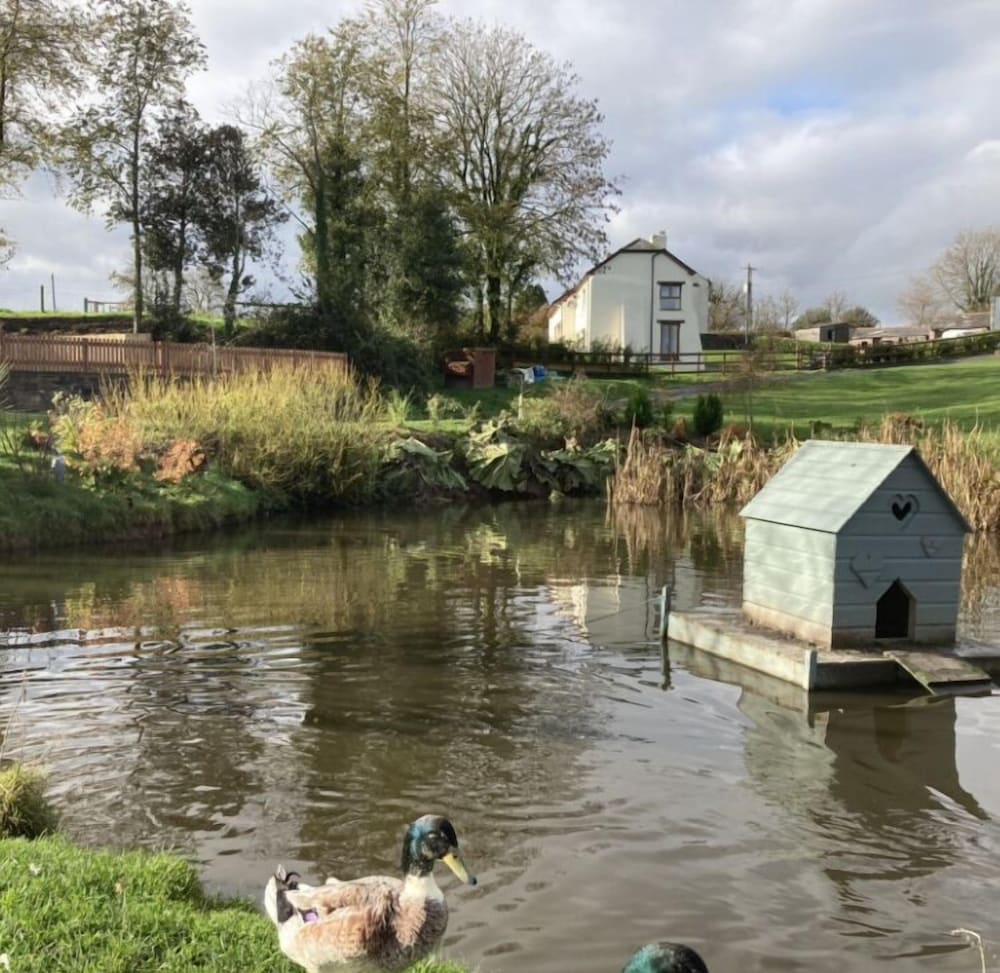 Frankaborough Farm Ferielejligheder, Billede 7