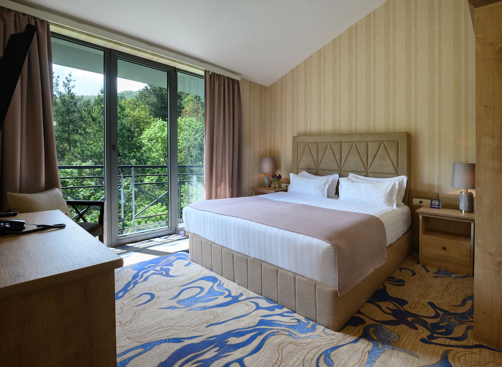 Deluxe Suite photo 1