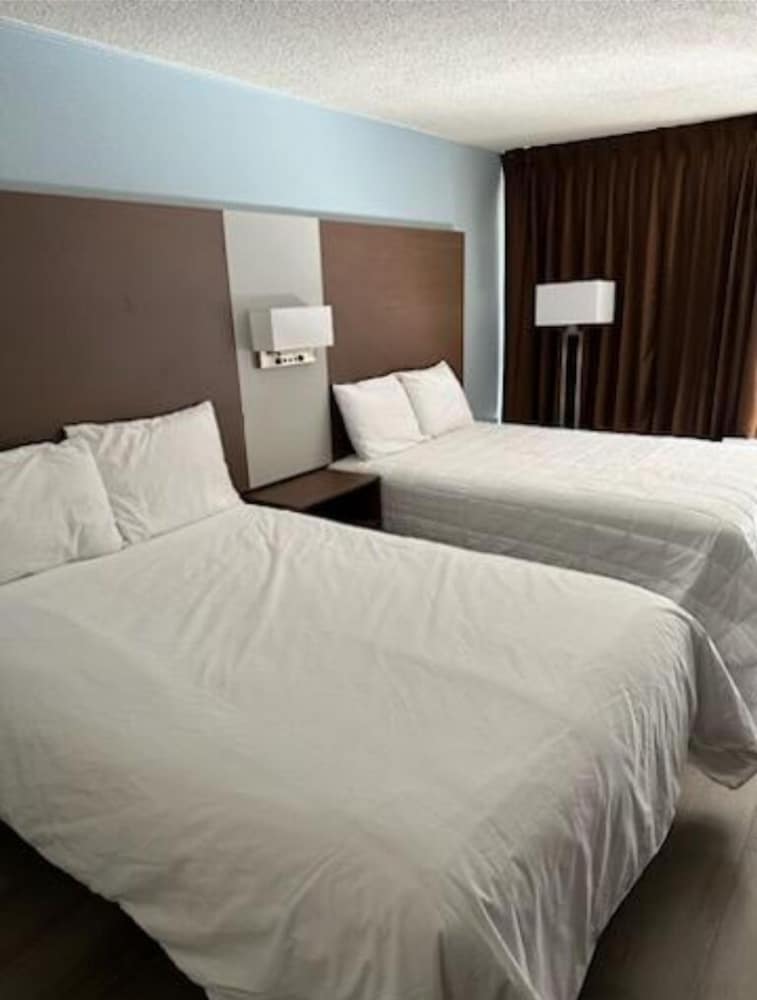 Standard Studio, 2 Double Beds - Photo 2