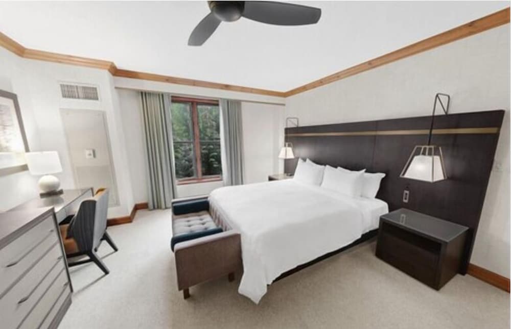 Suite (Highlands) - Photo 2