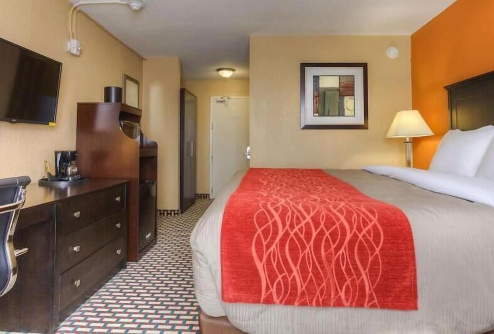 Standard Room, 1 King Bed, Non Smoking photo 2