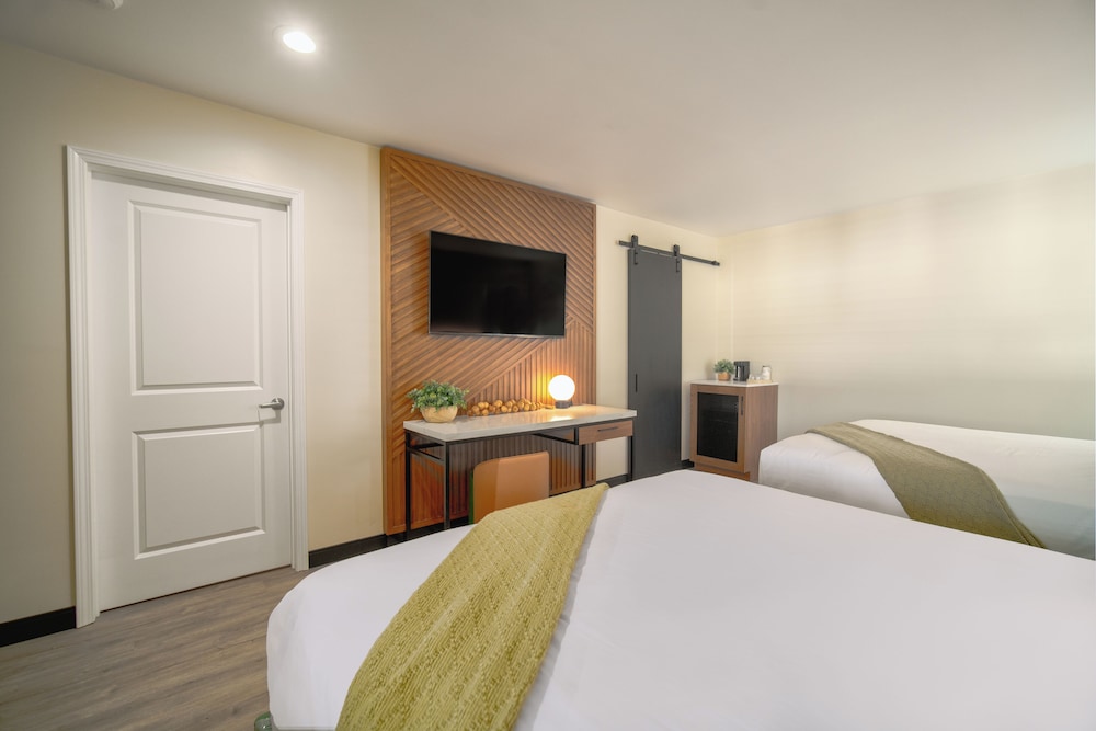 Executive Single Room, 2 Queen Beds, Non Smoking photo 1