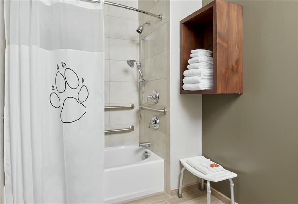 Suite, Accessible, Bathtub (Wolf Pup Den) photo 1