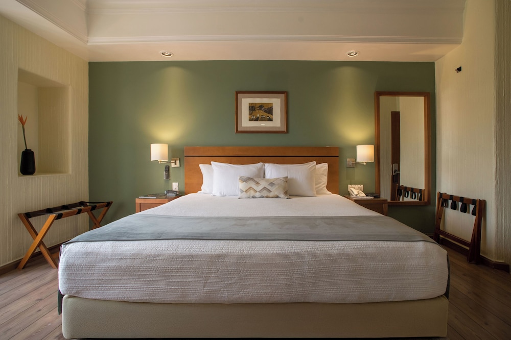 Junior Double Room, 1 King Bed photo 2