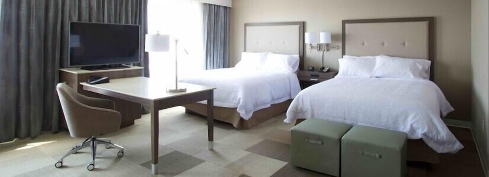 Studio, 2 Queen Beds, Kitchenette photo 2