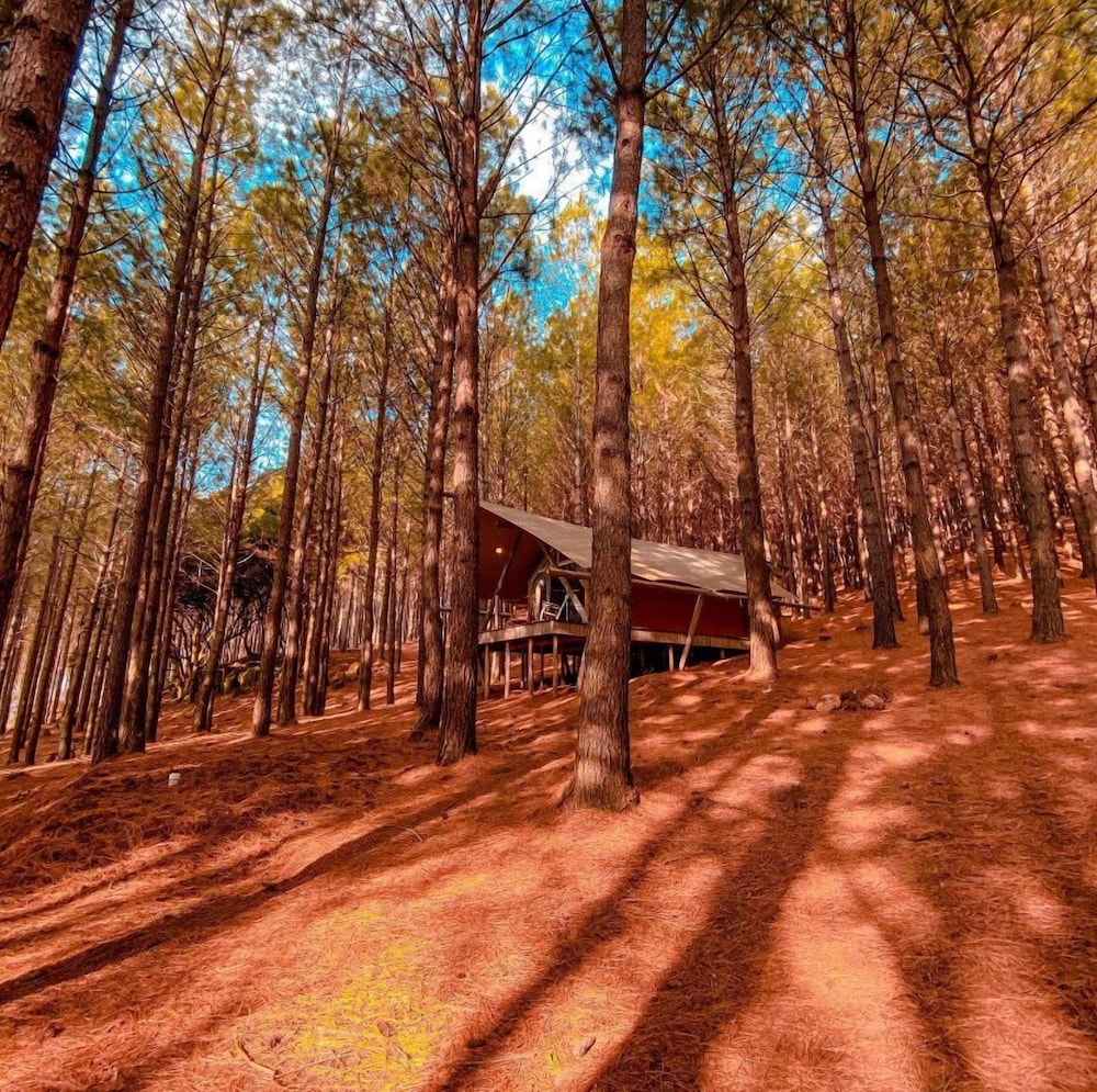 Deluxe Cabin, Partial Lake View - Photo 6