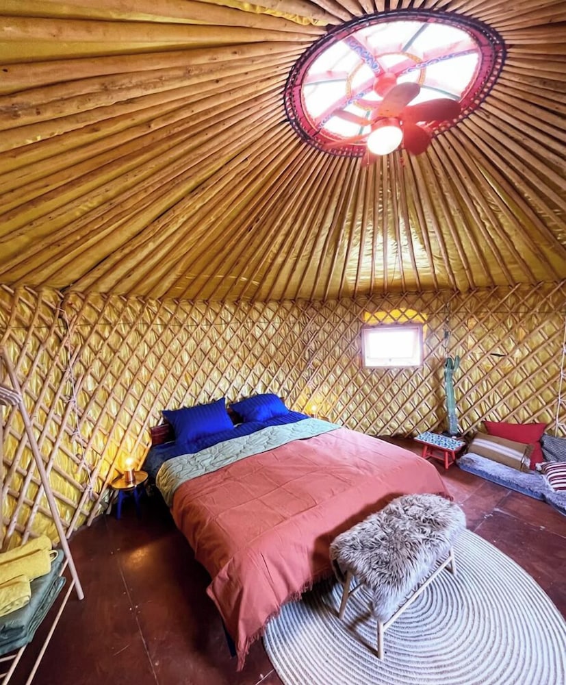 Comfort Tent, Patio, Courtyard View