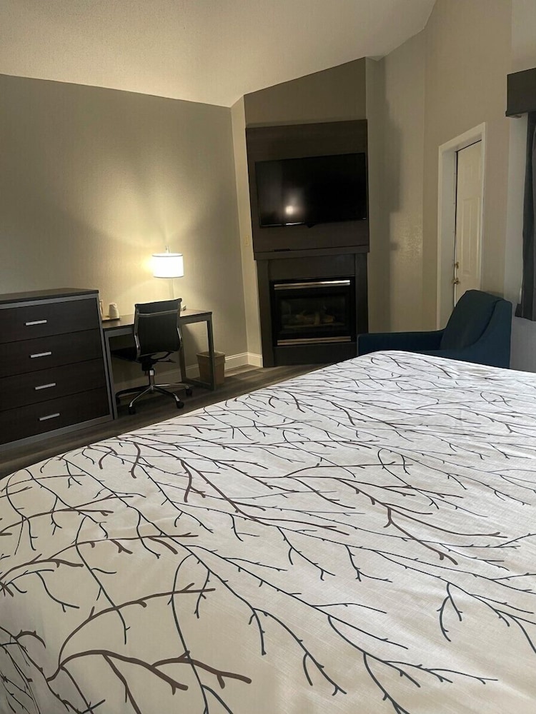 Deluxe Suite, 1 King Bed, Fireplace, Patio, Non Smoking