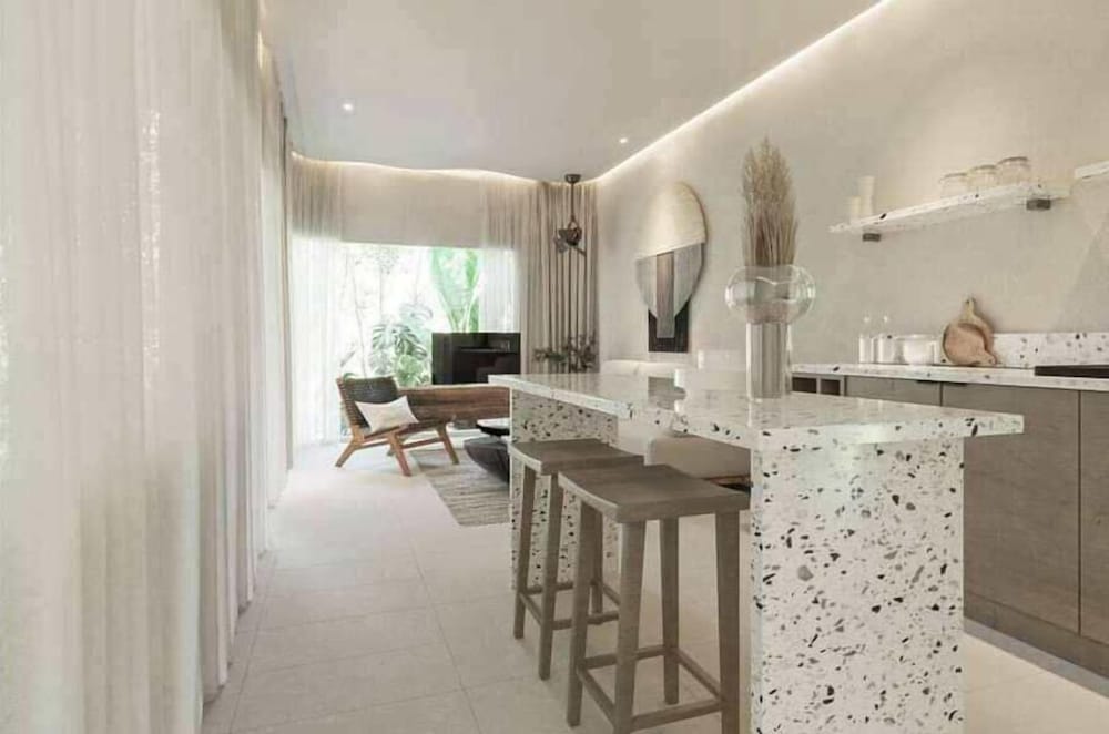 One Bedroom Premium Villa - Photo 4