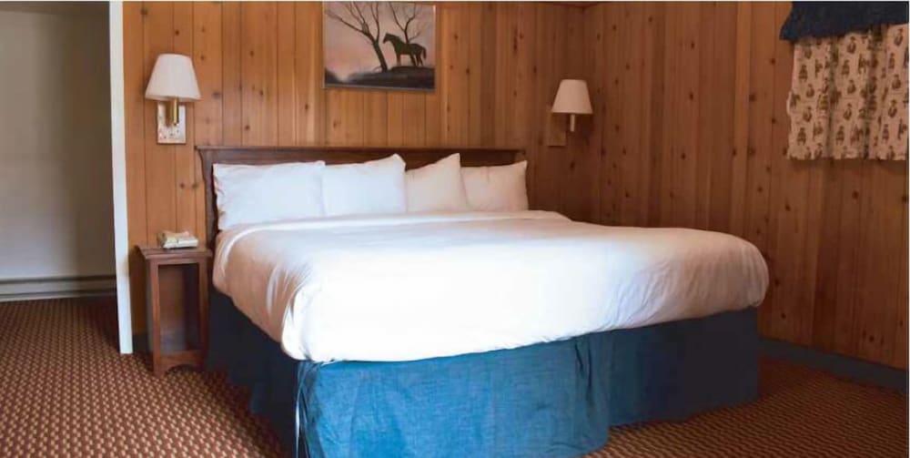 Classic Single Room, 1 Queen Bed photo 1
