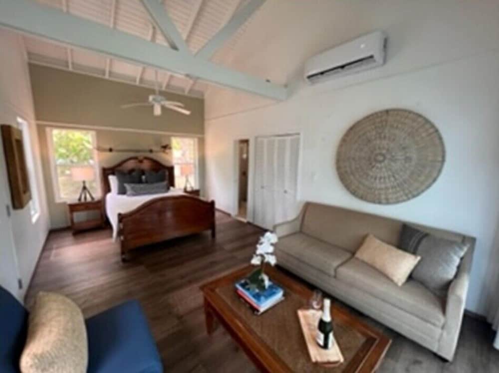 Deluxe Villa, 1 Queen Bed with Sofa bed, Ocean View