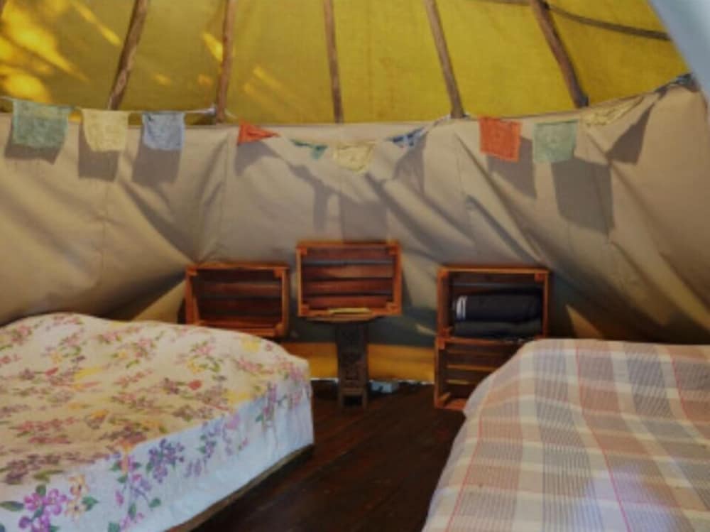 Family Tent photo 1