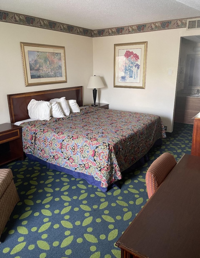 Basic Single Room