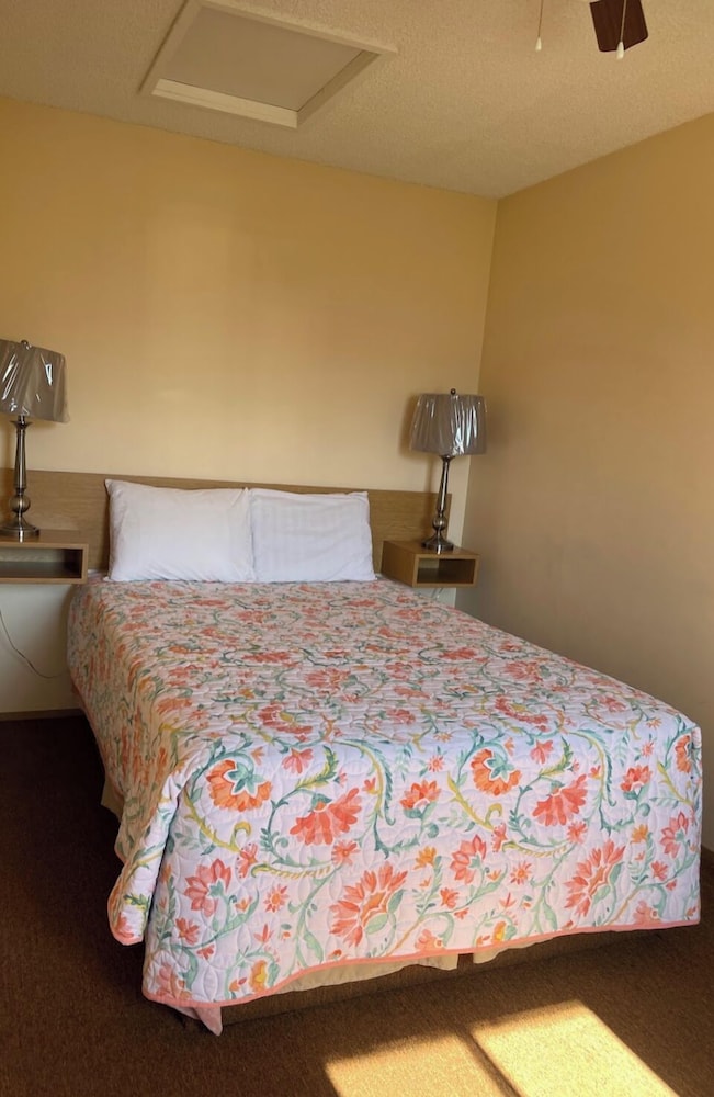 Basic Single Room photo 2
