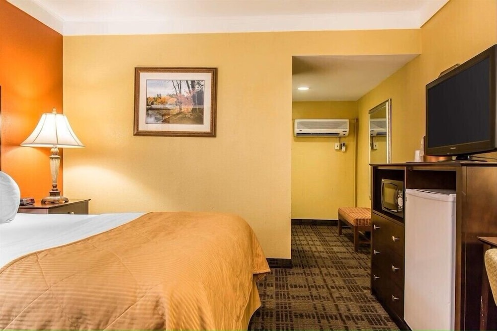 Basic Single Room photo 1