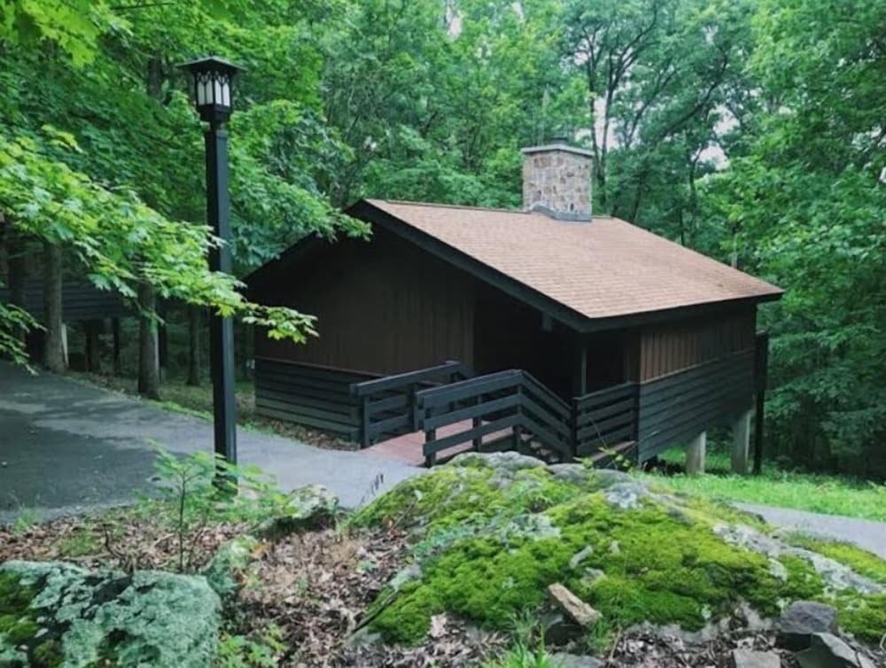 Deluxe Cabin, 1 Bedroom, Fireplace photo 2