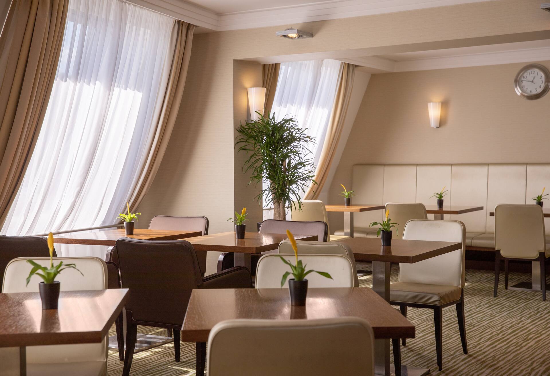 King Executive Room