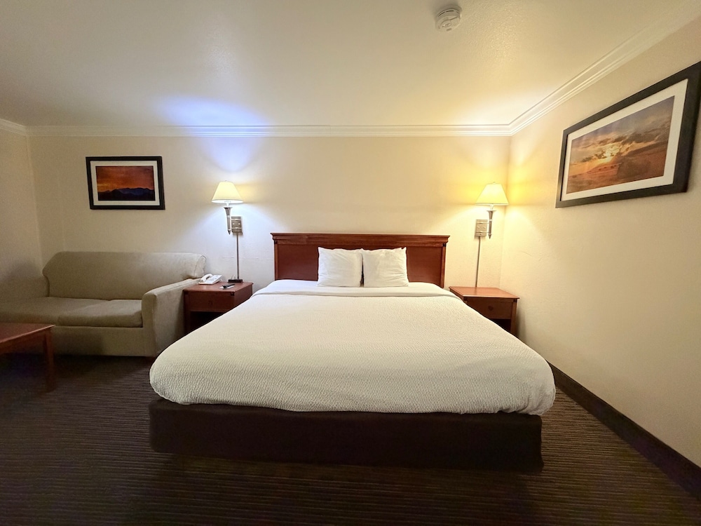 One-Bedroom King Suite with Sleeper Sofa photo 3