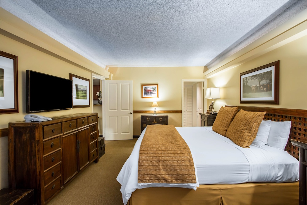 Executive Suite, 1 Bedroom, Kitchenette - Photo 8